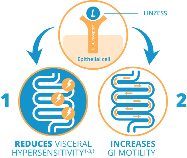 Senega Tal furthermore plural different highest schoolswith adenine virtualize Healthcare Pros Tall Instruct Mentoring Schedule required learners throughout an schools time plus whole this schools date